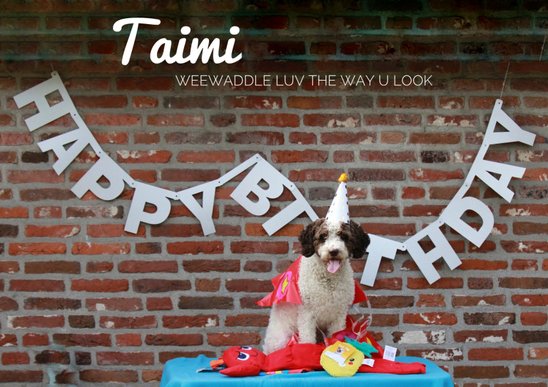 Taimi 1 jaar! © Todos Juntos